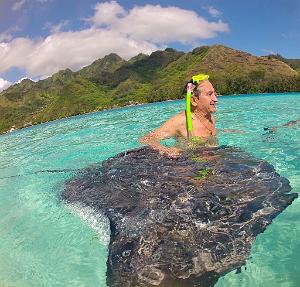 Voyage- Tahiti raie manta